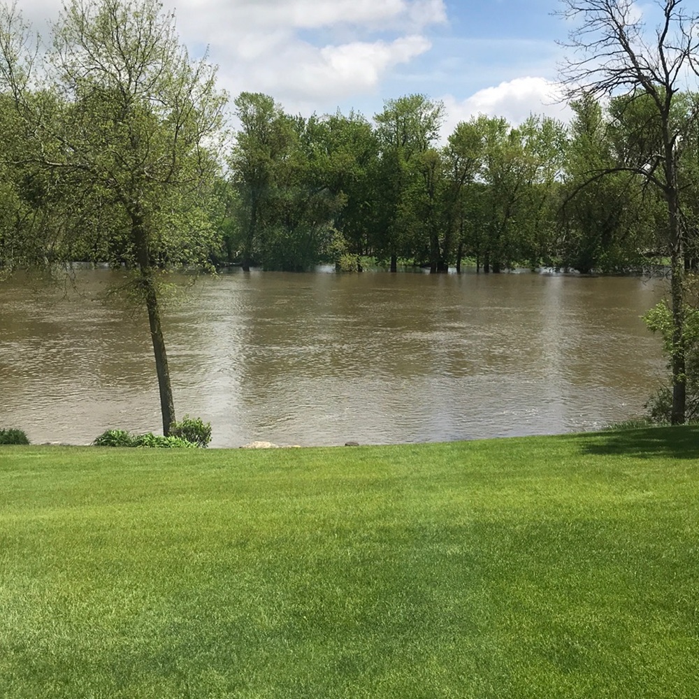 Meet your Posher, Jane